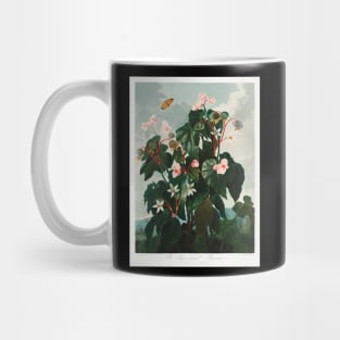 The Oblique-leaved Begonia Mug